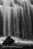 Untitled, NZ,2009 B&W mag